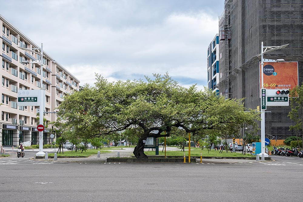 photo copyright Anja Hitzenberger - What Remains, a public art exhibition in Shueijiaoshe Cultural Park, Tainan, Taiwan